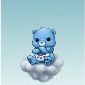 Meet your Posher, Teddy